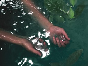 肌を隠して、夢はおやすみ。24年間信じて続けてきた薬を私は止めた