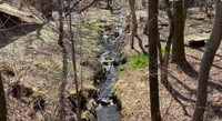 小川から更に清流へと変化する敷地からの湧き水（YouTubeチャンネル「よつめもん。50万円の別荘買った」より）