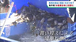 処理水放出１回目が完了　「加工や流通にも支援を」宮城・石巻魚市場