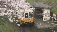 ことでん挿頭丘駅で桜とことでんを一緒に撮ろう