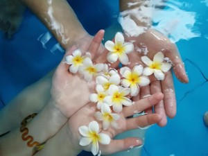 「あるべきフェミニスト像」に悩む方へ、ジェンダーを学んだ私たちが伝えたいこと