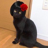 どう？似合ってる？