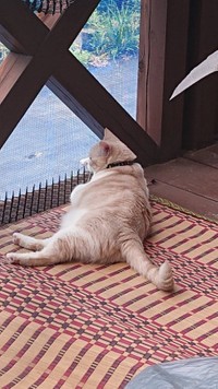 テラスで日向ぼっこ中