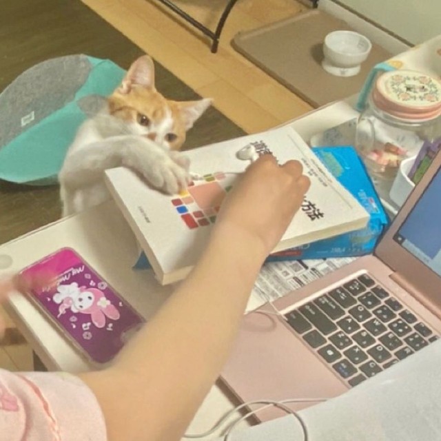 お姉ちゃんのオンライン授業を邪魔する