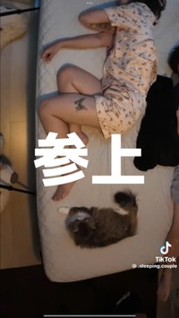猫のぷぷ、参戦。2人の間にちょこんと入ってくる瞬間が微笑ましい／爆睡夫婦 -Sleeping Couple-さん（@.sleeping.couple）提供