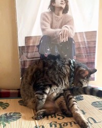 女子だもの、熱心に身だしなみを整える