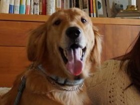 後悔から救ってくれた山田あかね監督の言葉