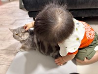 はまちくんに触れる息子さん（画像提供：ごまちよ 0y(2024.07)さん）
