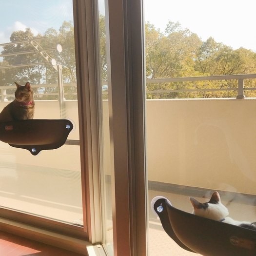 外が見える窓辺で