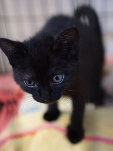 「ちょっとミルク飲んでごはん食べて、遊んで寝て」