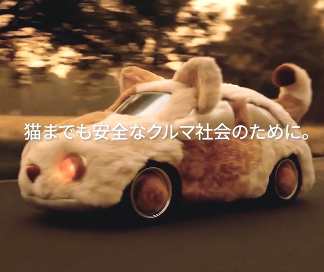 「猫までも安全なクルマ社会のために」（動画からキャプチャー／提供：イエローハット）
