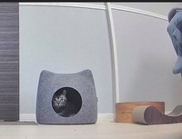 最近のはニトリの猫型のおうちがお気に入りの様子（提供：こめさん）