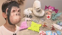 なぜサルの仮面？高松市の「折り紙作家」の小学生　YouTubeで折り方の発信も「楽しさや美しさを世界に広めたい」【こどもミライパーク】
