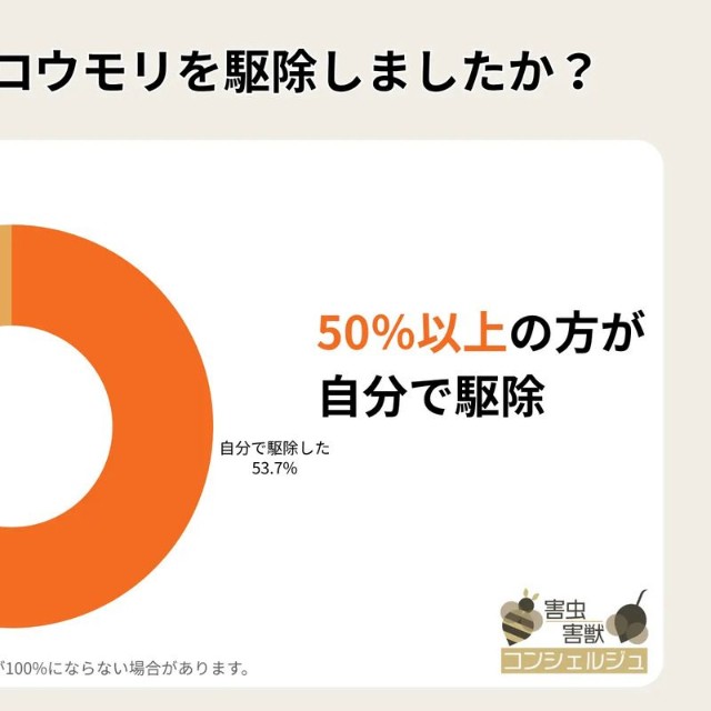 どうやってコウモリを駆除しましたか？（提供画像）