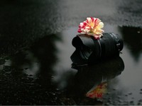 他人が決めつけて、その人の自由な思考や生き方を奪う権利は無い。大事なのは互いに前向きに思いやること