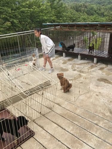 自ら連絡して仲間と視察にいった保健所。いろいろなことを感じたのだろう…