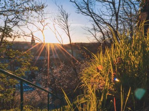 社会人になってつらい時「なりたいもの」の答えをくれたのは高校生の時の私だった