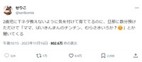 議論を巻き起こしたせりこさんの投稿