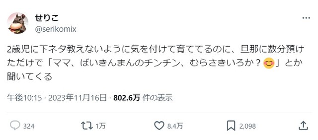 議論を巻き起こしたせりこさんの投稿