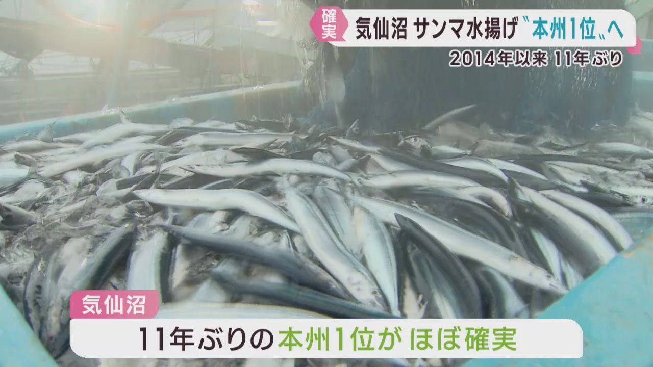 サンマの水揚げ１１年ぶりに本州Ｎｏ．１に　宮城・気仙沼港