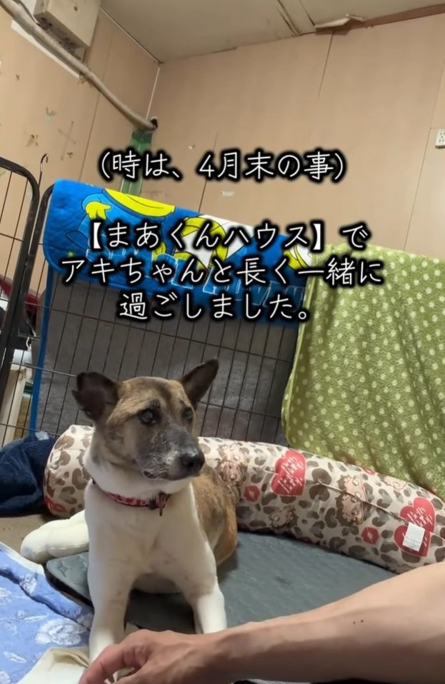 家庭犬のように穏やかな気持ちになったという（岡本裕二さん提供、Instagramよりキャプチャ撮影）