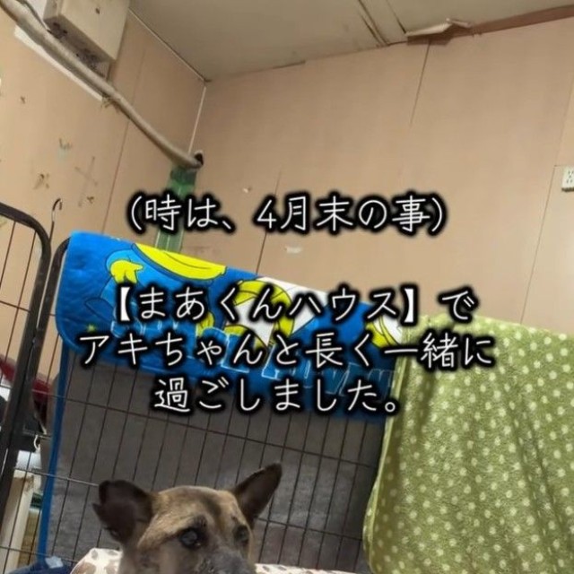 家庭犬のように穏やかな気持ちになったという（岡本裕二さん提供、Instagramよりキャプチャ撮影）