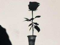 「男みたいな格好して男にでもなりたいの？」今でもよぎる祖母の言葉