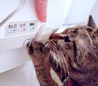 部品の正体が判明！ まだ興味をそそられるランちゃん（画像提供：みぃさん）