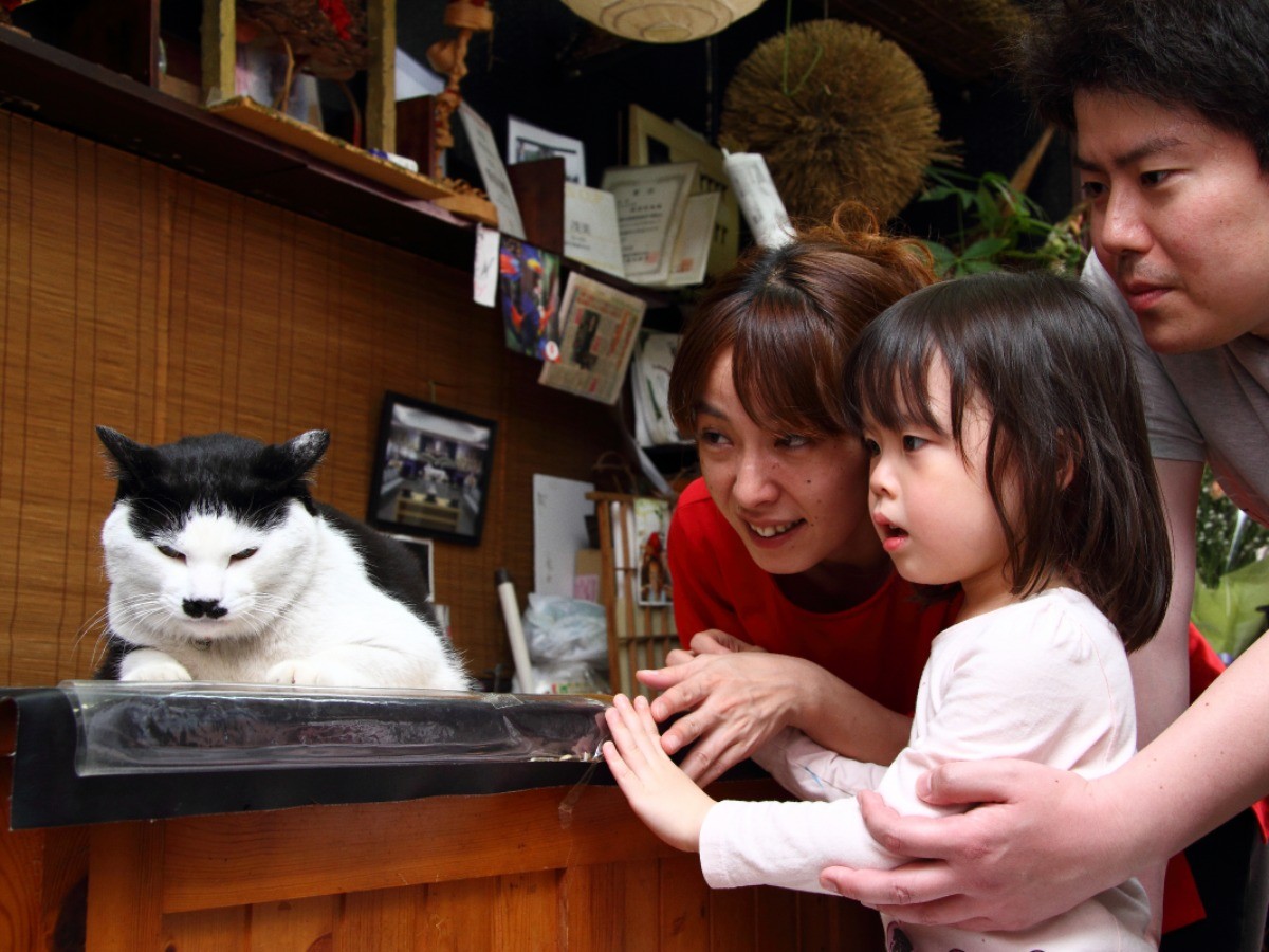 4e2e4dc24d4f4ead3fd6fc49e0643c