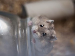 偶然重なった退職とペットの死。「暮らすこと」を意識し始めた