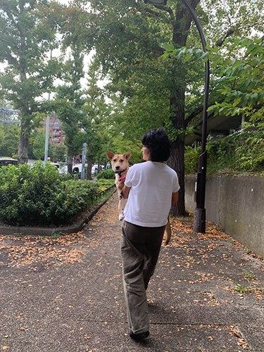 新しい家族が初めて会いに来てくれた日。怖がりながらもママには抱っこされたね
