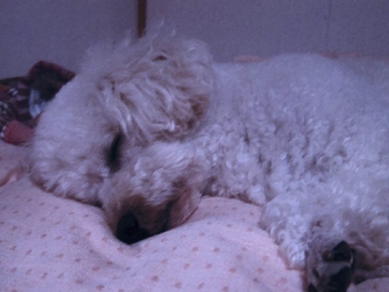 毎日、有希さんと一緒に寝ていた