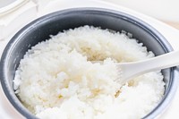 オランダで期待された、お弁当とは……。写真はイメージです（kikisora/stock.adobe.com）