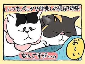 隣の皿はうまい…？　魚卵猫姉妹、必殺「クロス食い」