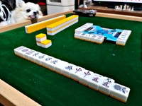 麻雀卓にアゴをのせてくつろぐタケオしゃん（画像提供：じゅんじゅんさん）（画像提供：じゅんじゅんさん）