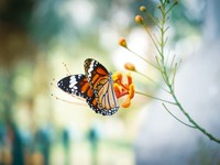 同級生とまさかの再会、体に異変が。それでも一時的な恋心でよかった