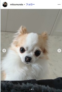 村田充のインスタグラム@mitsumurataより