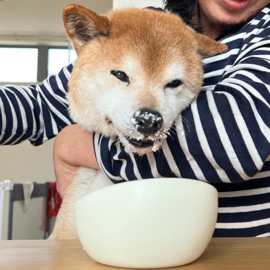 ２回目のケーキはスポンジタイプを食べました