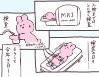 検査の様子（兎星しずかさんの提供）