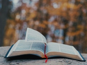 「京大卒だけど主婦になりたい」はダメですか？