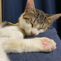 遊び疲れてグー