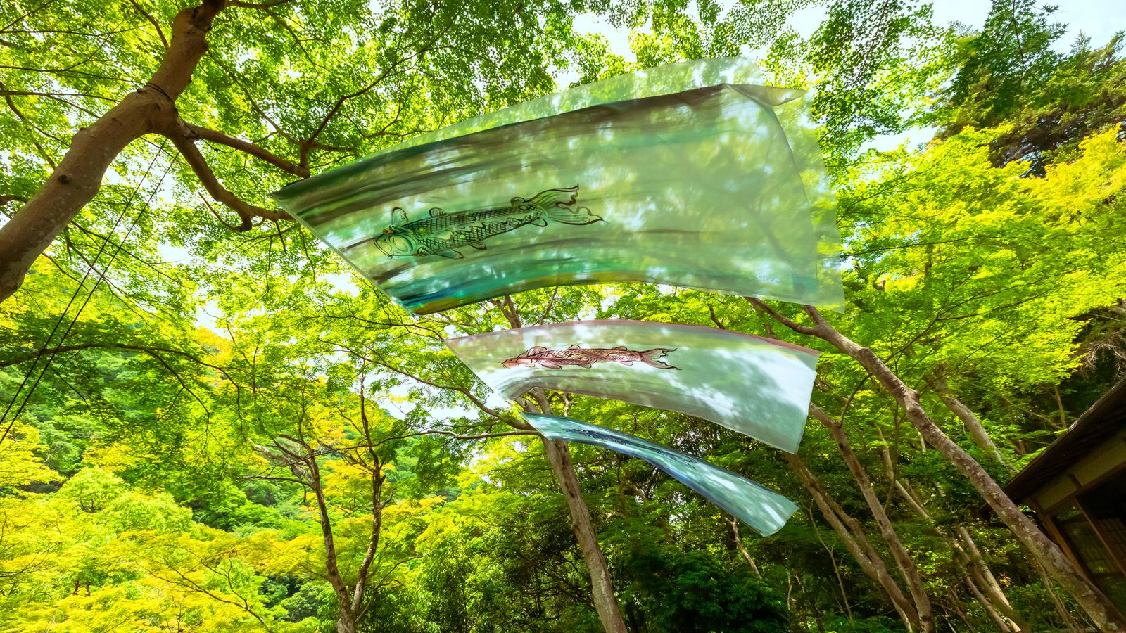 平安貴族のリトリート、<br>嵐山の青もみじに包まれる初夏の雅なステイ