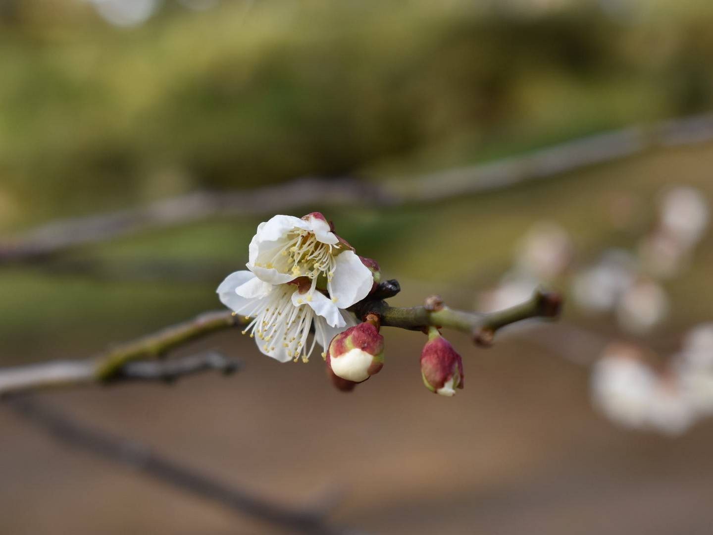 苗字で呼ばれるのは かわいくないから 本当は下の名前で呼ばれたい かがみよかがみ