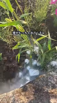 白い煙が立ち上る庭は幻想的なマジック演出のよう／あきさん（@aki_freelance_home）提供