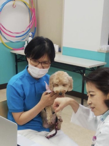 30年以上続いているCAPP活動。コロナ下の2021年は、オンラインで実施した。協力：JAHA、東京青山ロータリークラブ（赤坂動物病院提供）