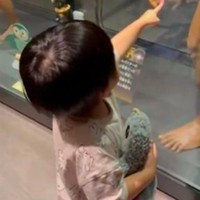 男の子が指さす先は…（ぽんたさん提供）