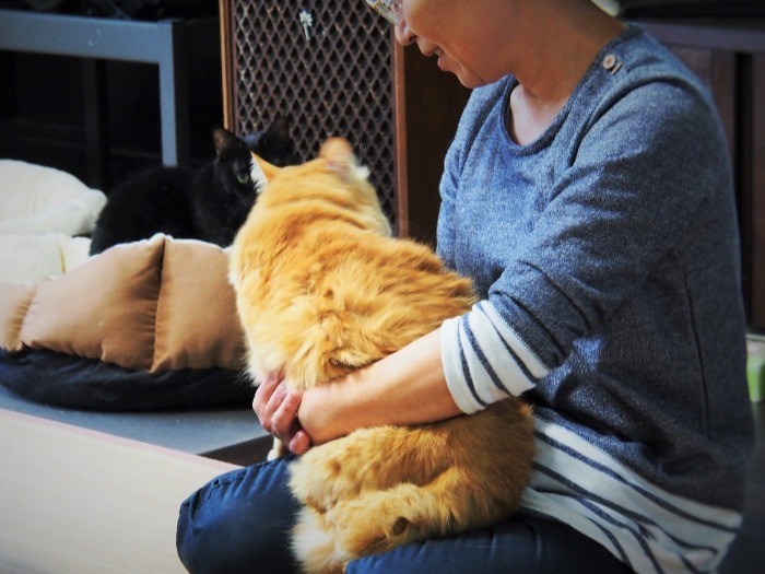 まさはるをやさし気に見るナナちゃん。