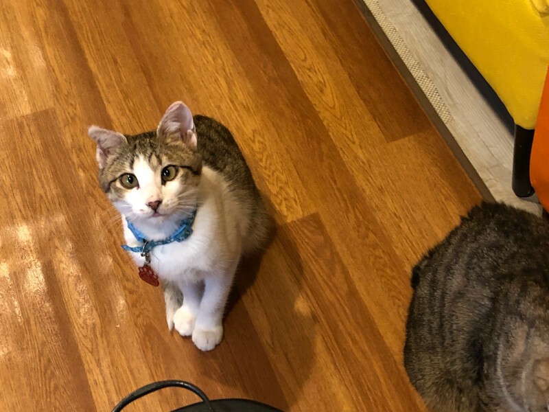 「あ・そ・ぼ！」どの子もフレンドリー