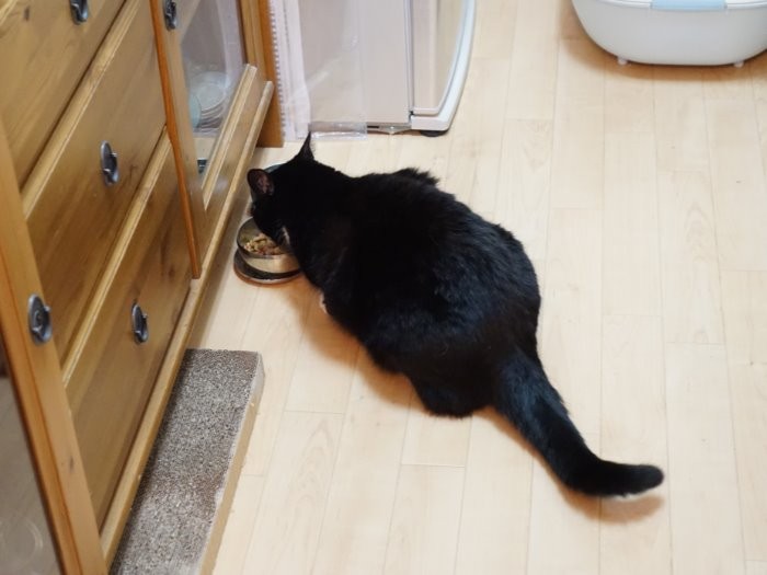 食事は(誰にも邪魔されないように）キッチンでゆっくり