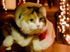 サンタ姿で盛り上げニャ　三毛猫のニタマ駅長がツリーに点灯